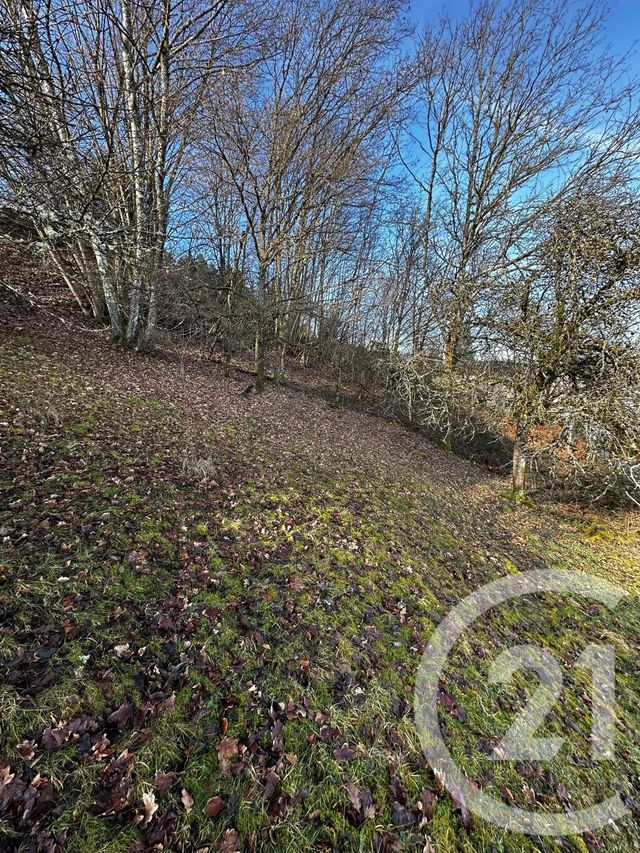 Terrain à vendre - 1526 m2 - Remiremont - 88 - LORRAINE