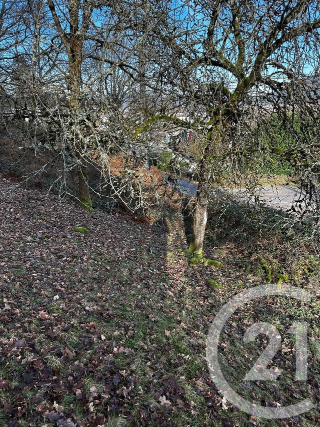 Terrain à vendre - 1526 m2 - Remiremont - 88 - LORRAINE