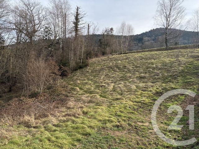 Terrain à vendre - 2219 m2 - St Etienne Les Remiremont - 88 - LORRAINE