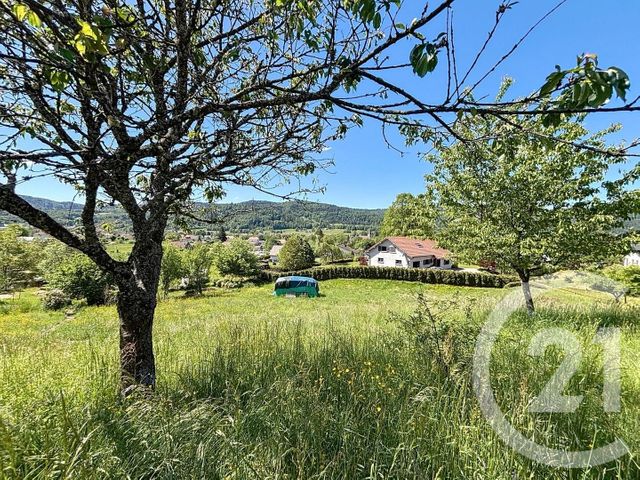 Terrain à vendre - 1083 m2 - Ramonchamp - 88 - LORRAINE