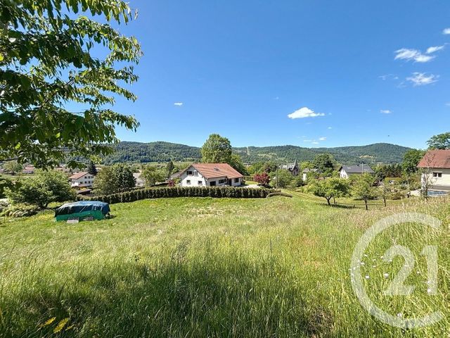 Terrain à vendre - 1083 m2 - Ramonchamp - 88 - LORRAINE