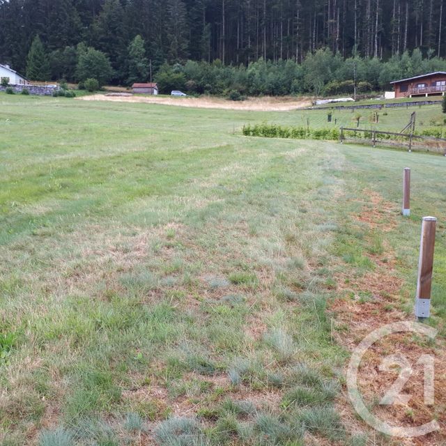 Terrain à vendre - 2866 m2 - Le Tholy - 88 - LORRAINE