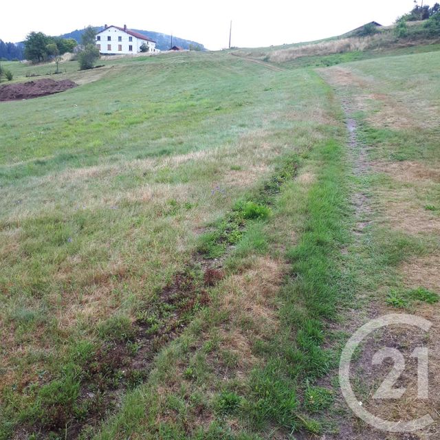 Terrain à vendre - 2866 m2 - Le Tholy - 88 - LORRAINE