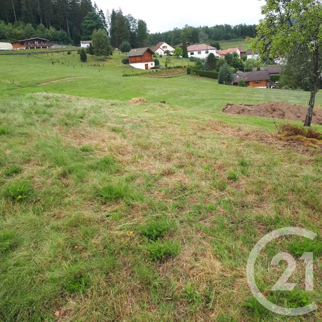 Terrain à vendre - 2866 m2 - Le Tholy - 88 - LORRAINE