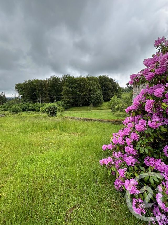 Maison à vendre - 7 pièces - 103 m2 - Jussarupt - 88 - LORRAINE