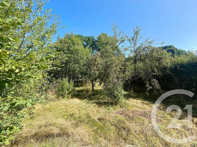 Maison à vendre - 9 pièces - 203,10 m2 - Arches - 88 - LORRAINE