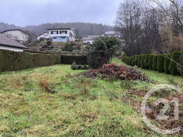 Terrain à vendre ST NABORD