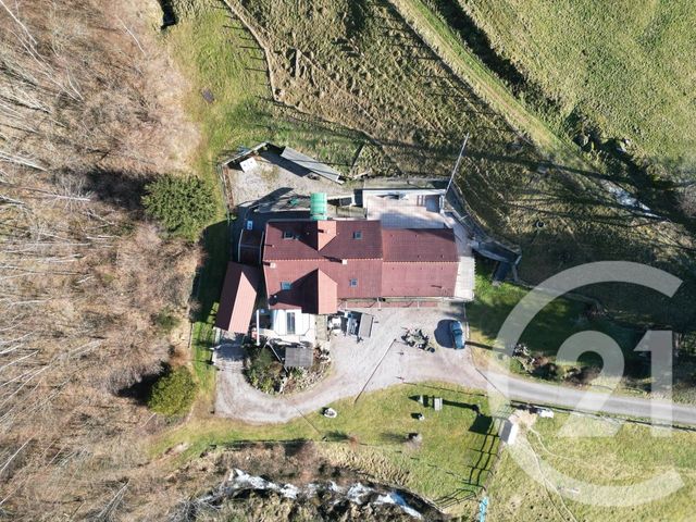 Maison &agrave; vendre - 15 pi&egrave;ces - 500 m2 - Saulxures Sur Moselotte - 88 - LORRAINE