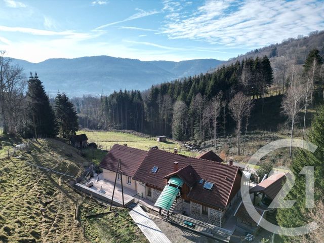 Maison &agrave; vendre - 15 pi&egrave;ces - 500 m2 - Saulxures Sur Moselotte - 88 - LORRAINE