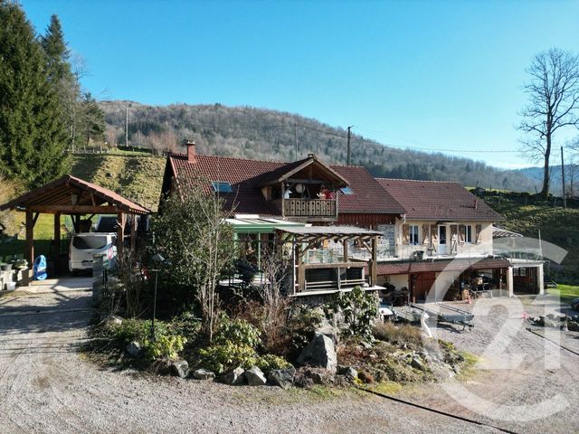 Maison &agrave; vendre - 15 pi&egrave;ces - 500 m2 - Saulxures Sur Moselotte - 88 - LORRAINE