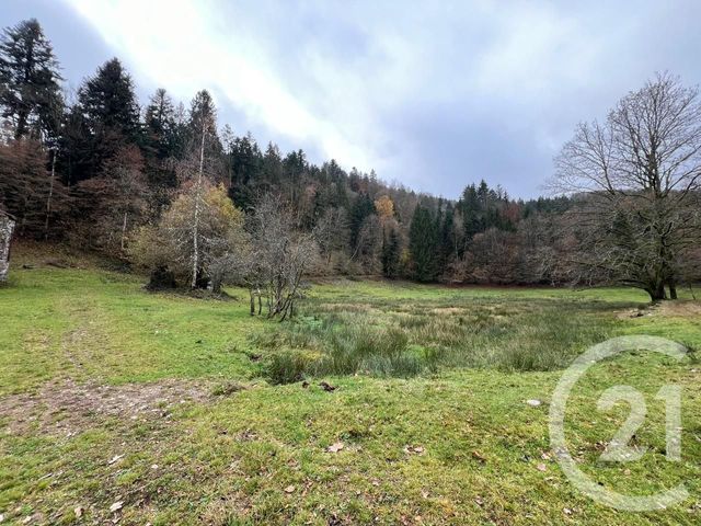 Terrain à vendre - 536 m2 - Thiefosse - 88 - LORRAINE