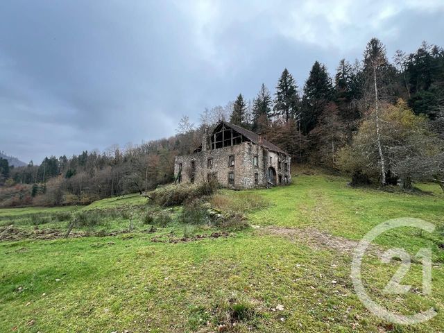 Terrain à vendre - 5150 m2 - Thiefosse - 88 - LORRAINE
