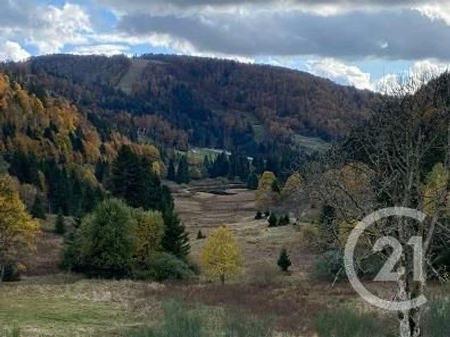 Appartement à vendre - 7 pièces - 109,60 m2 - La Bresse - 88 - LORRAINE